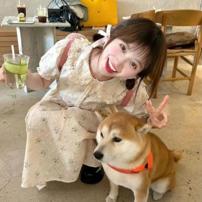 黑色孤儿：回响