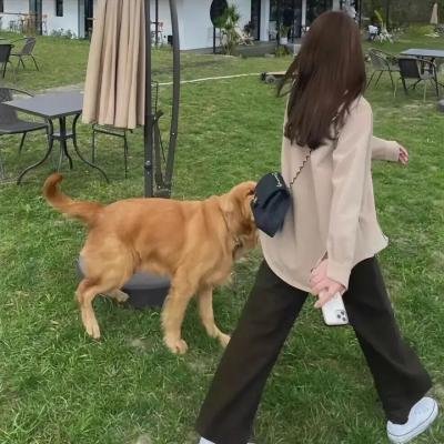 小岛奇谭